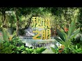 《秘境之眼》 小麂 20240917 cctv