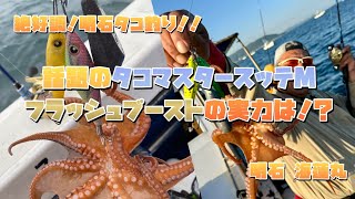 2024年 絶好調！明石タコ釣り！シマノタコマスタースッテMフラッシュブーストの実力は！？