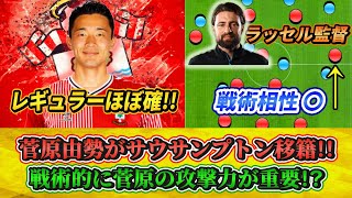 [カンタン分析] 菅原由勢はレギュラーが取れるのか!?戦術についても紹介します!! #菅原由勢 #サウサンプトン #移籍