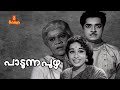 Padunna Puzha | Malayalam Full Movie | Prem Nazir | Sheela | Jayabharathi | Adoor Bhasi