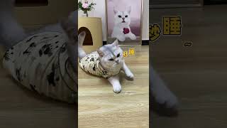 毛孩子这个技能“真的是无人能敌，笑死我了😂 #猫咪 #萌宠出道计划 #戏精猫 #萌宠出道计划 #萌宠 #猫咪