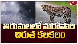 తిరుమలలో మరోసారి చిరుత కలకలం | Leopard In Tirupati | hmtv