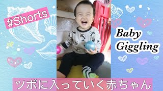 #Shorts どんどんツボに入っていく1歳1ヶ月赤ちゃん  | Cute baby giggling