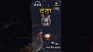 ਸੱਚ ਜਾਂ ਅੰਧਵਿਸ਼ਵਾਸ-ਟੂਣਾ-ਰਾਜ ਕੌਰ ਕਮਾਲ Punjabi Audiobooks by Virasat