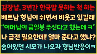 (실화사연) 김장날, 3년간 한국말 못하는 척 하는 베트남 형님이 쉬면서 비웃길래\