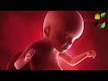 गर्भ में शिशु का सिर कोनसे हफ्ते में नीचे हो जाना चाहिए by which week baby heads down in womb