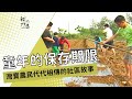 童年的保存期限｜灣寶農民代代相傳的社區故事  (公共電視 我們的島第502集  2009-04-27)