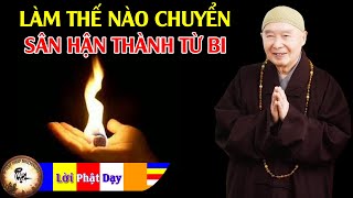 Làm thế nào chuyển sân hận thành từ bi? Pháp Sư Tịnh Không trả lời vấn đáp học Phật