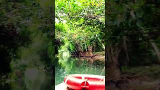 boat journey in kerala | Tourism | India #nature #travel #shorts #viral #youtubeshorts #short #green