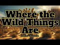 Where the Wild Things Are-Luke Combs (Lyrics)