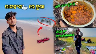 ରାଜହଂସ  ରେ Picnic || ଚିଲିକା ରେ ଡଲଫିନ ଦେଖା || Odia Vlog ||@Mrbadalblog