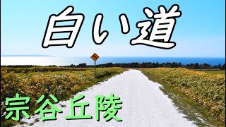 【車載】宗谷丘陵　白い道（北海道 稚内市）