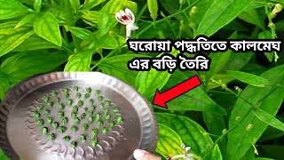 বাড়িতে খুব সহজে কালমেঘের বড়ি তৈরি। কালমেঘের ট্যাবলেট।। How to make kalmegh leaf pills.