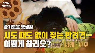 [슬기로운 펫생활] 시도 때도 없이 짖는 반려견…어떻게 하리오? / YTN 사이언스