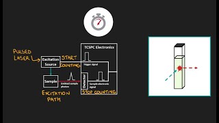 How to measure Fluorescence Lifetimes