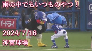 つば九郎\u0026ドアラ、雨の中でもお相撲ムーブからの謎のダンス 20240716