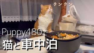 【キャンピングカー】Puppy480で道の駅で初車中飯を作りました／初車中泊旅#2