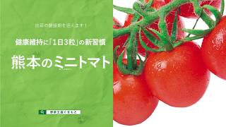 【テレビＣＭ】熊本県産ミニトマト【にこやか食堂】