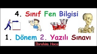 4 Sinif Testleri Indir Egitimhane Video Klip Mp4 Mp3