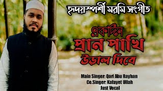 হৃদয়ছোঁয়া মরমি গজল। Ekdin Pran Pakhi Ural Dibe। Kafayet Ullah | Bangla gojol 2020