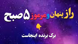 راز سحرخیزی:چرا افراد موفق همگی سحرخیزند؟