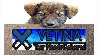 Vetina VetBuddy Website Demo