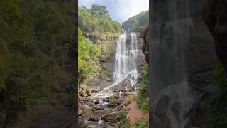 Waterfalls deep inside the jungle | Trek to the mystery falls | Hebbe falls #chikmagaluru #hebbe #yt