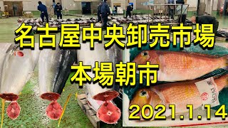 [魚市場]名古屋中央卸売市場本場朝市2021.1.14