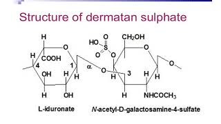 CHEM2114 - Lecture 17 - Mucopolysaccharides and Proteoglycans