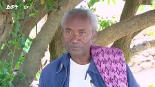 General Tadese Werede (Wedi Werede)  Full Interview