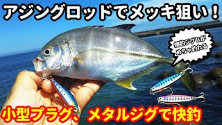 アジングロッドでメッキ、ショゴを狙う！外房ライトゲーム　秋に向けて小型回遊魚の活性が急上昇！