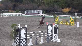 第54回関東学生馬術女子競技大会　障害飛越競技　Jump off　2年　大岩　桃子　桜里