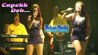 CAPEK DEH - SHELIN MELINDA ~ (PRIMA MUSIC Live In Jember)