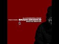 Al Xapo, Benzoo, Eeque - Snokonoko (Bootleg)