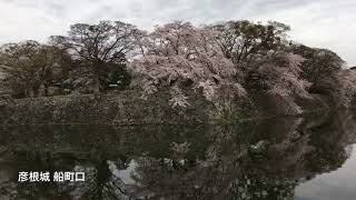 DOBBY空撮アルバム 38長浜城〜彦根城