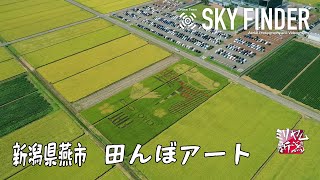 田んぼアートFIAT　空撮　新潟県燕市【ミリヤム新潟】