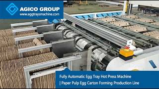 Fully Automatic Egg Tray Hot Press Machine | Paper Pulp Egg Carton Forming Production Line