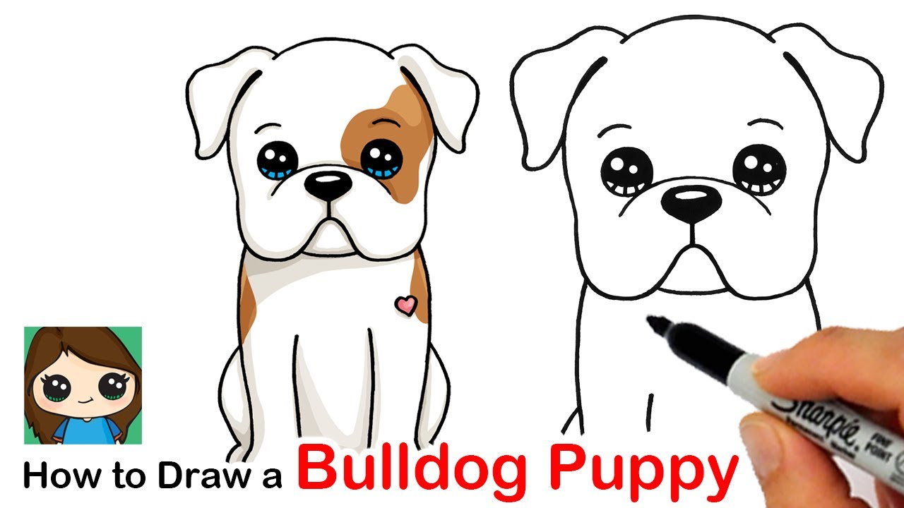 How To Draw Bulldog Puppy