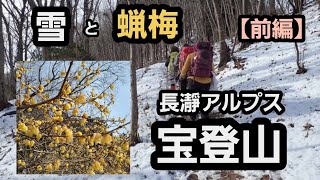 【前編】長瀞アルプス、宝登山へロウバイを見に！(雪の宝登山)