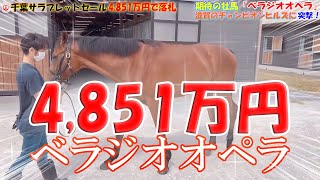 え！？ガチ！？4,851万円で落札した牡馬 「べラジオオペラ」に突撃！！【ベラジオch】