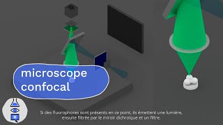 Animations sur les microscopes : Microscope à fluorescence et confocal