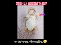 아들아 미안.... 육아브이로그 babyshorts 아기