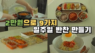 2만원으로 일주일 반찬 9가지 만들기 / 식비 절약하는 방법 / 집밥 / 간단레시피 / 자취요리