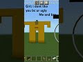 SIGNAL🗿🍷#minecraft #memes #funny