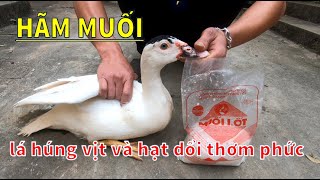 Hãm tiết canh vịt bằng muối thêm lá húng vịt và hạt dổi