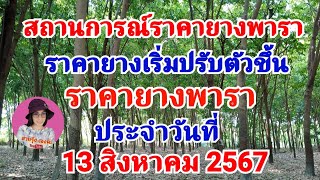 แจ้งข่าวราคายางพารา ประจำวันที่ 13 สิงหาคม 2567 ปรับตัวดีขึ้น