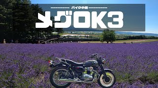 ラベンダーを駆け抜けろ / ファーム富田【北海道 / 富良野】【メグロK3】