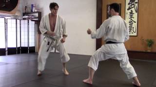 Rick Hotton Karate Kicking