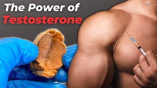 What Low Testosterone Does to the Body