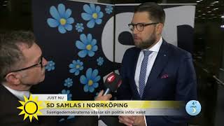 Så ska SD vässa sin politik inför valet - Nyhetsmorgon (TV4)
